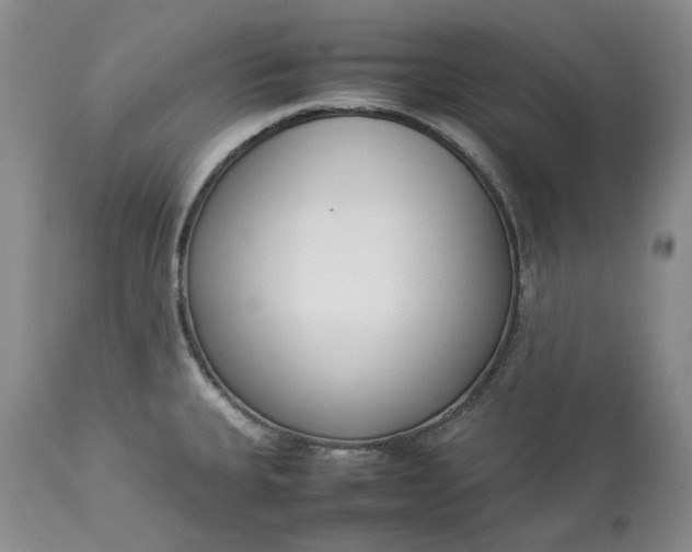 X0000113351335200909291045