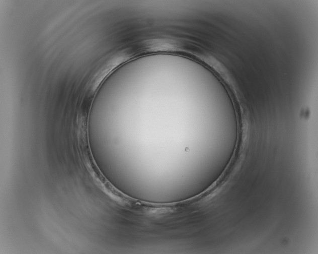 X0000113351337200909291045