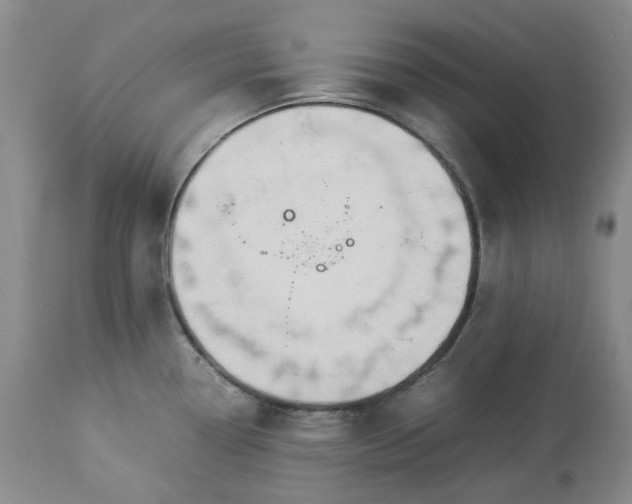 X0000113351338200909291045