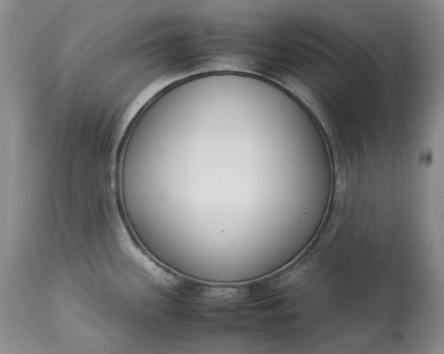 X0000113351339200909291045