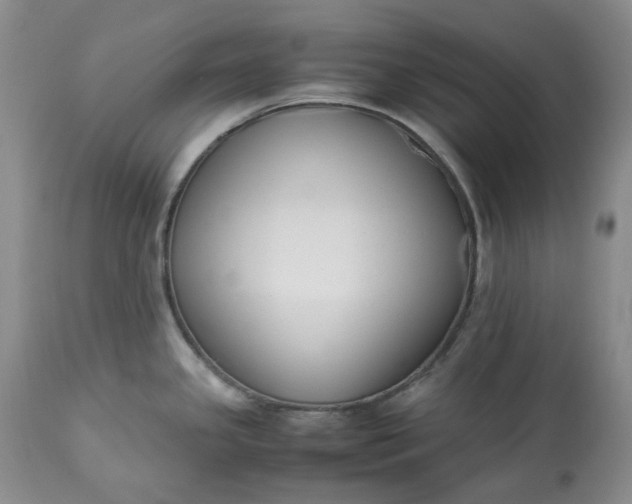 X0000113351341200909291045