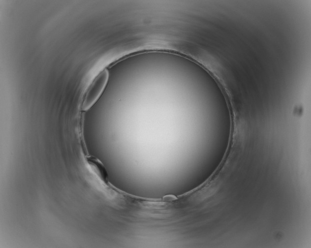 X0000113351342200909291045