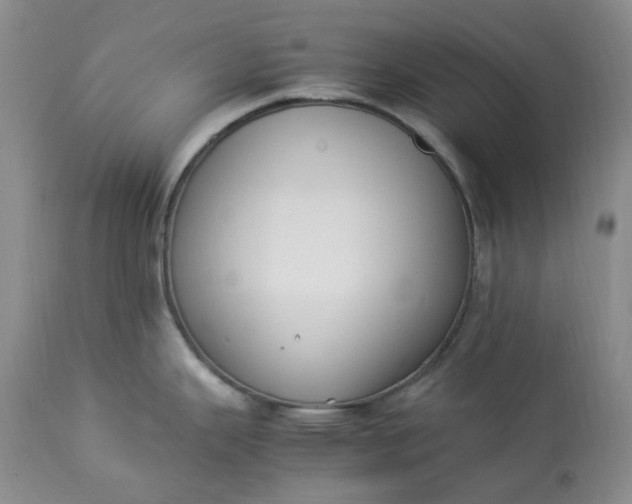 X0000113351343200909291045