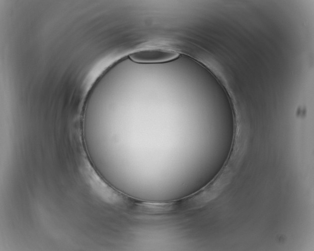 X0000113351344200909291045