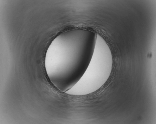 X0000113351345200909291044