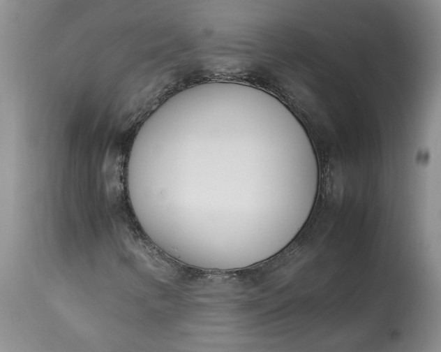 X0000113351346200909291044