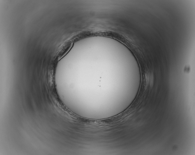 X0000113351348200909291044