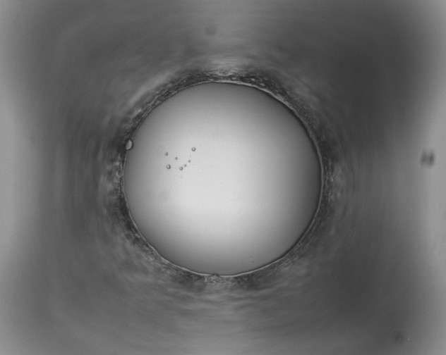 X0000113351349200909291044