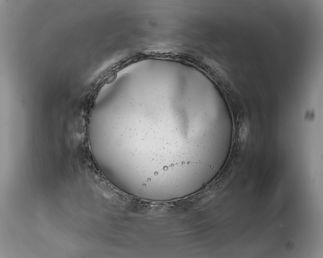 X0000113351350200909291044