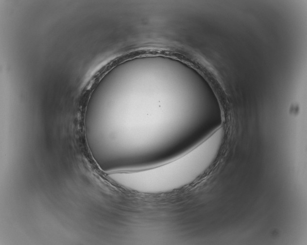 X0000113351352200909291044
