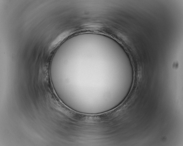 X0000113351354200909291044