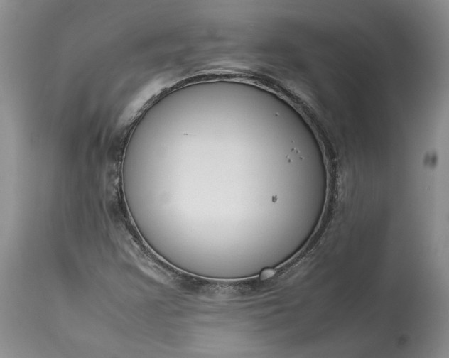 X0000113351355200909291044