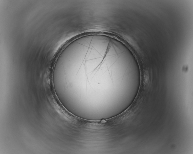 X0000113351356200909291044