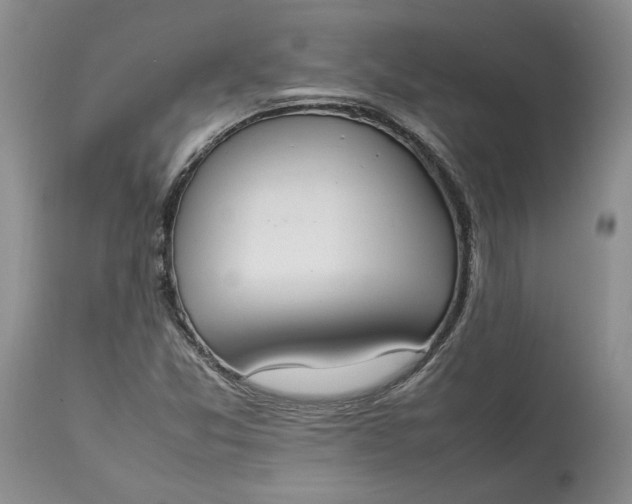 X0000113351357200909291044