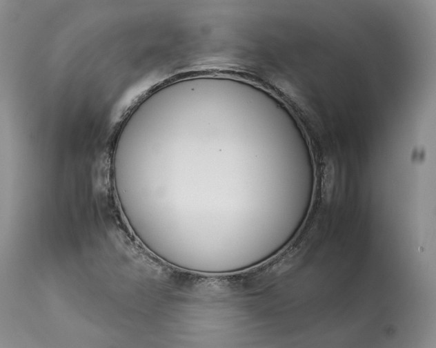 X0000113351358200909291044