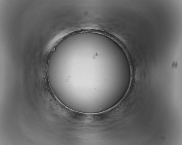 X0000113351359200909291044