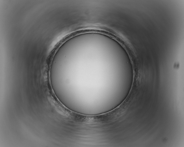 X0000113351360200909291044
