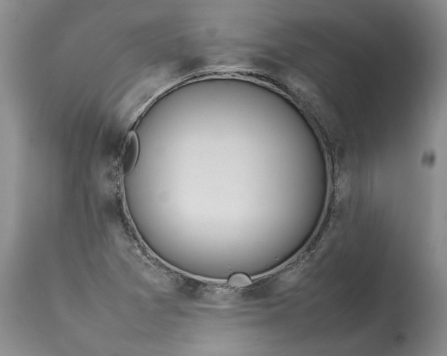 X0000113351361200909291044