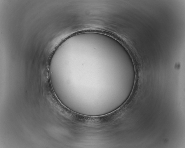 X0000113351363200909291044