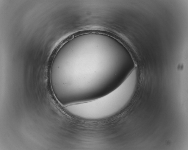 X0000113351364200909291044
