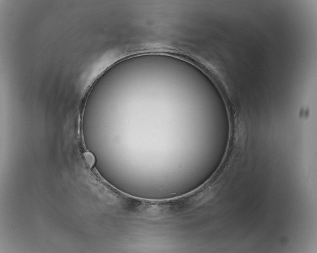 X0000113351365200909291044