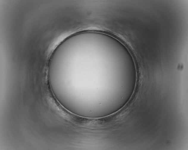 X0000113351367200909291044