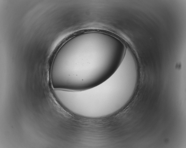 X0000113351368200909291044