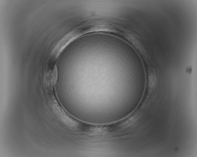X0000113351369200909291044