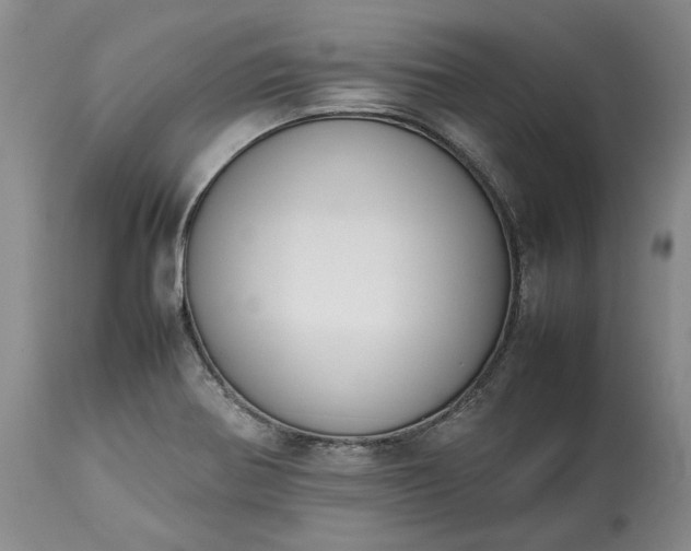 X0000113351370200909291044