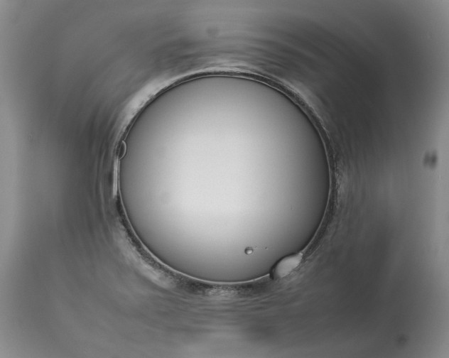 X0000113351371200909291044