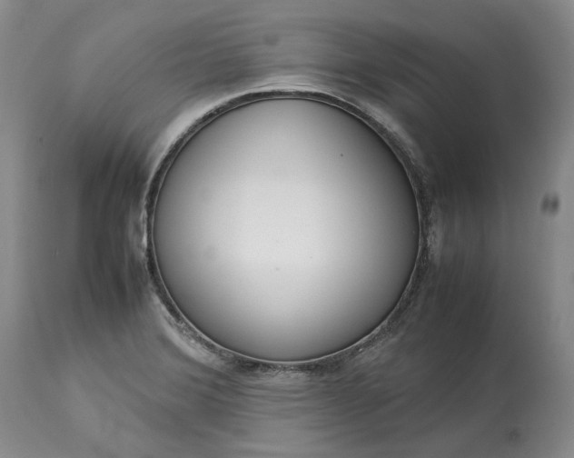 X0000113351372200909291044