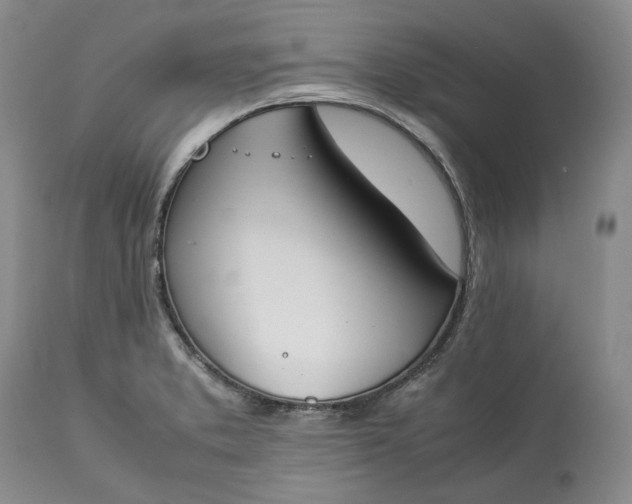 X0000113351373200909291044