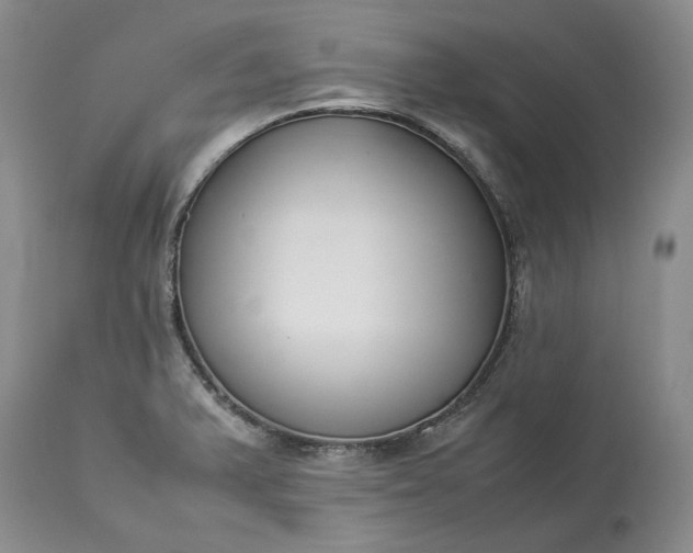 X0000113351375200909291044