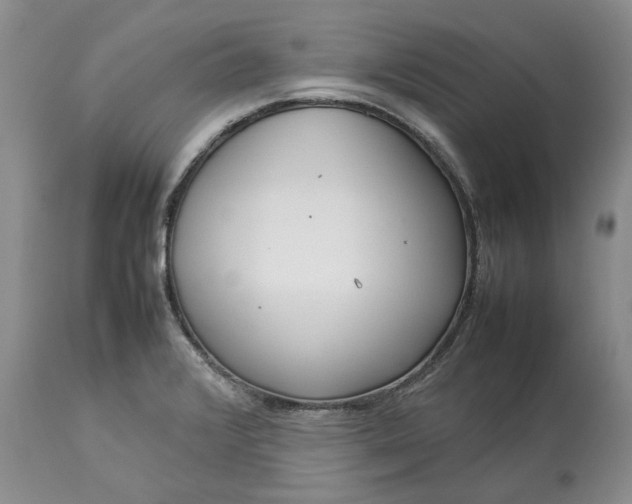 X0000113351376200909291044