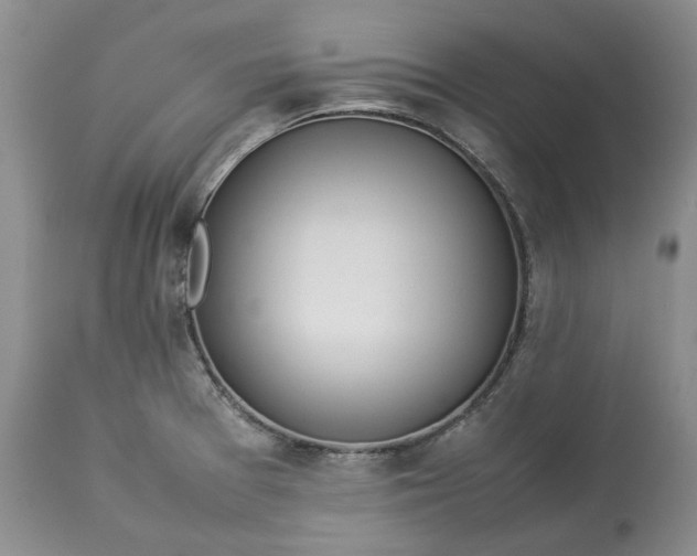 X0000113351377200909291044