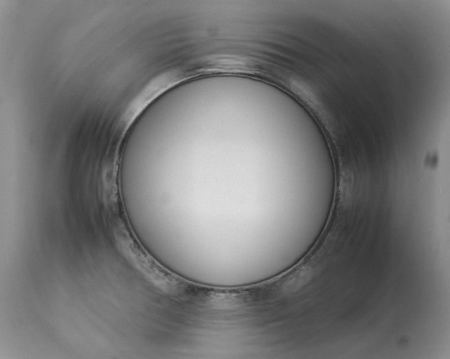 X0000113351378200909291044