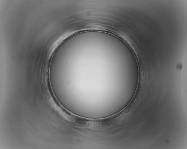 X0000113351379200909291044
