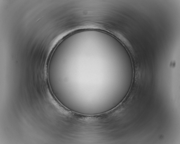 X0000113351380200909291044