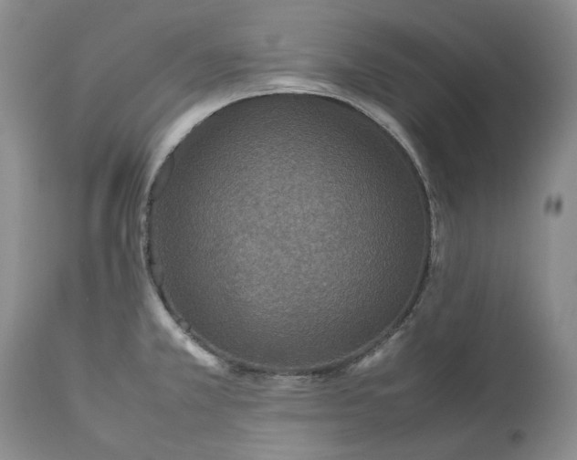 X0000113351381200909291044