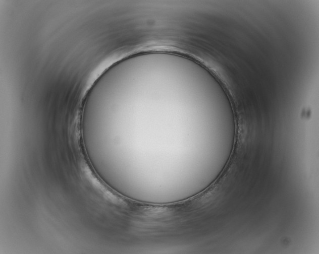 X0000113351382200909291044