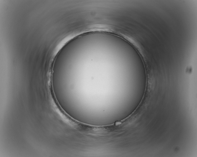 X0000113351383200909291044