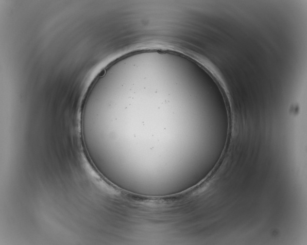X0000113351388200909291044