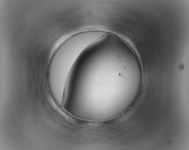 X0000113351389200909291044