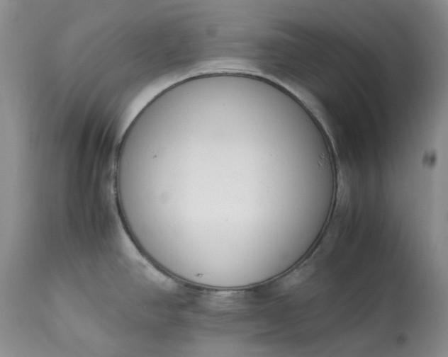 X0000113351390200909291044
