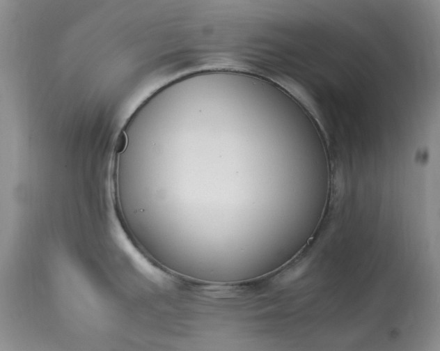 X0000113351391200909291044