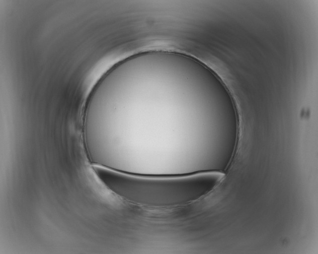 X0000113351392200909291044