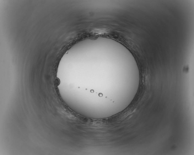 X0000113351393200909291043