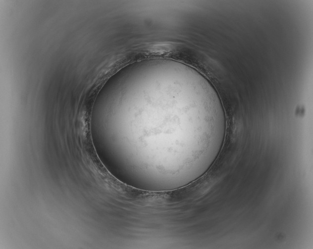 X0000113351394200909291043