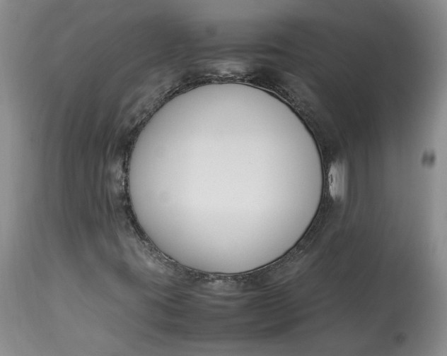 X0000113351395200909291043