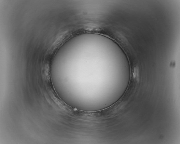 X0000113351396200909291043